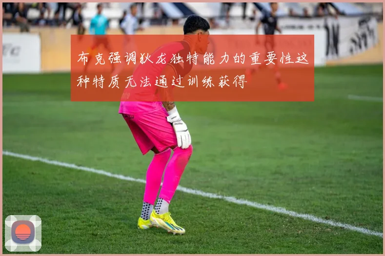 布克强调狄龙独特能力的重要性这种特质无法通过训练获得