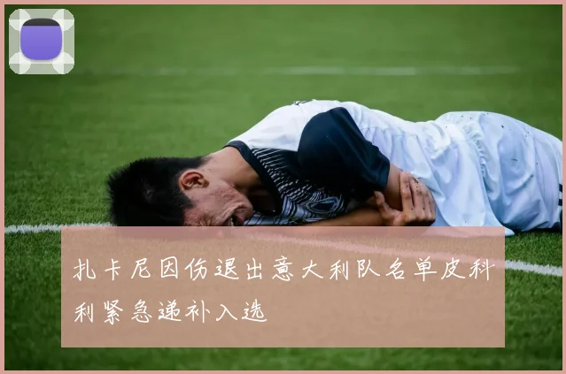 扎卡尼因伤退出意大利队名单皮科利紧急递补入选