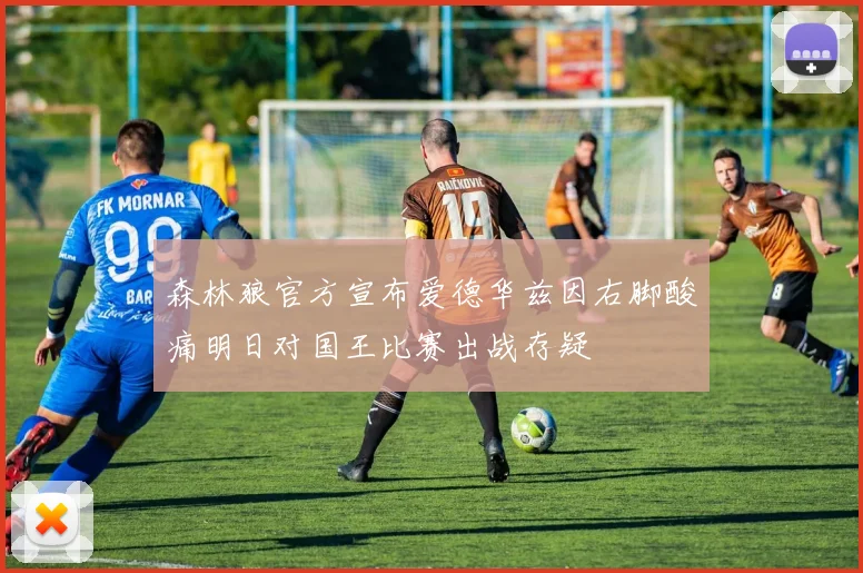 森林狼官方宣布爱德华兹因右脚酸痛明日对国王比赛出战存疑