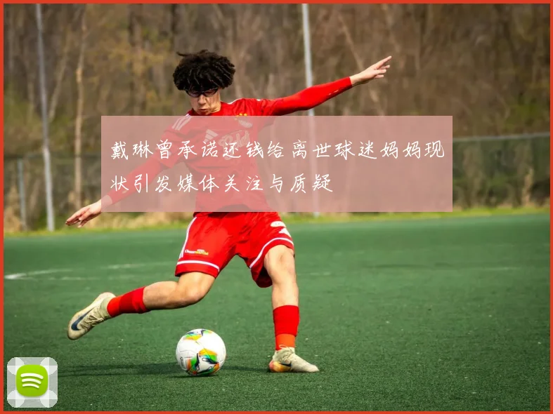 戴琳曾承诺还钱给离世球迷妈妈现状引发媒体关注与质疑